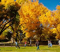 people in park