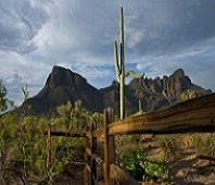 fence on ranch