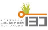 CEI logo